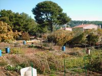 Cycle de projection aux jardins #1